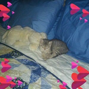 Meet your Posher, Miriam